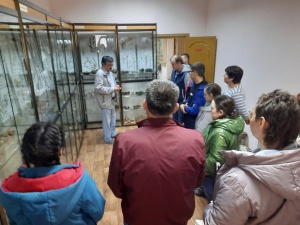 Экскурсия в Музей природы г. Железногорска