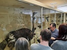 Экскурсия в Музей природы г. Железногорска